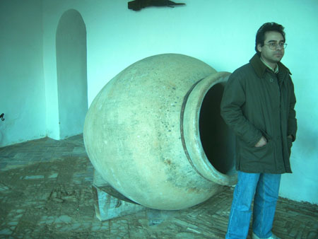 cai2006-7.jpg