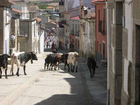 encierro_5.jpg